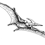 Pterodactyl